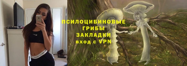 дживик Пересвет
