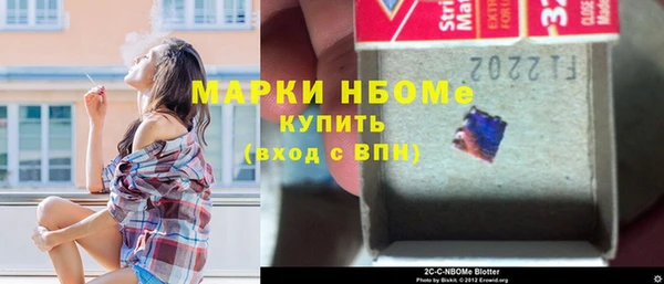 дживик Пересвет