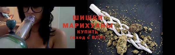 дживик Пересвет