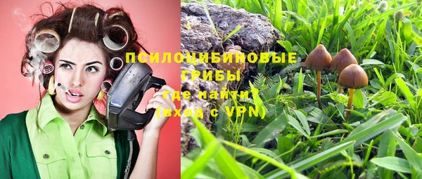 каннабис Пестово