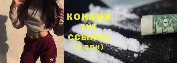 дживик Пересвет