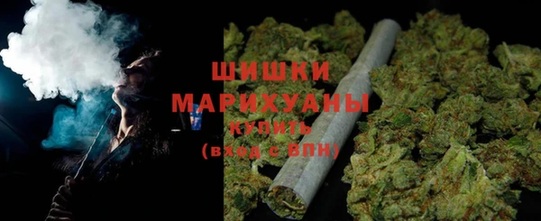 дживик Пересвет