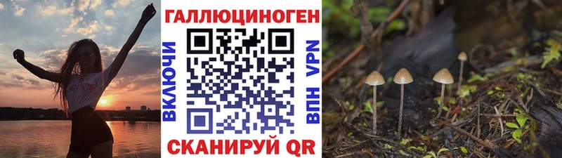 купить закладку  Тотьма  Псилоцибиновые грибы MAGIC MUSHROOMS 