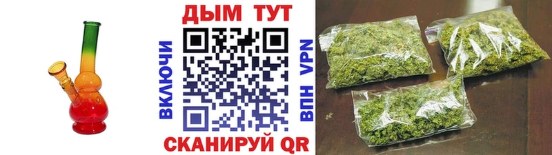 купить закладку  Тотьма  Каннабис семена 